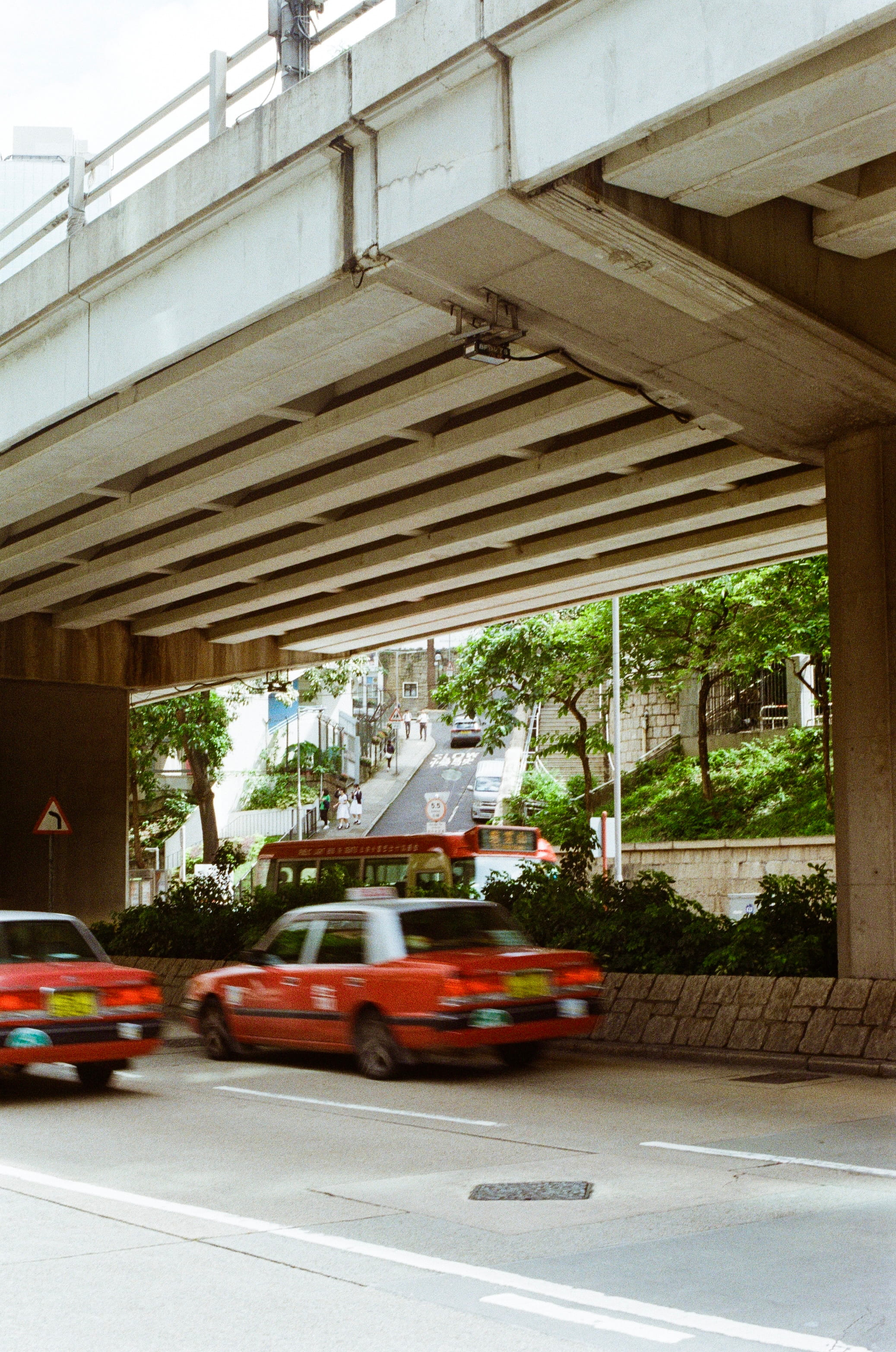 Film photograph 8